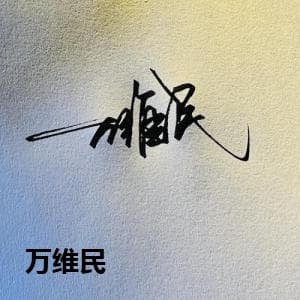 万维民