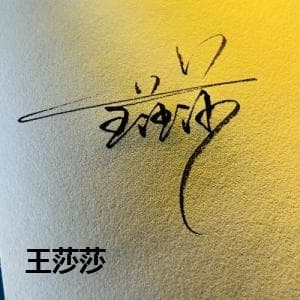王莎莎